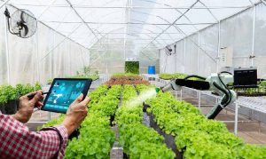 Teknologi AI dalam Pertanian