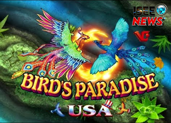 Bird Paradise Game Slot Tembak Ikan Penuh Warna Seru!