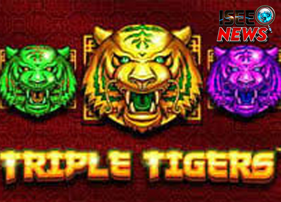 Rekomendasi Situs Slot Gacor Triple Tigers yang Top Banget!