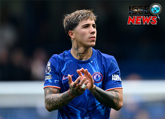 Enzo Fernandez Chelsea Ingin Tunjukkan Taring di Dunia!