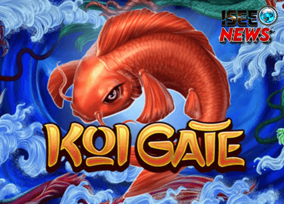 Cnnslot Koi Gate, 7 Super Elemen yang Patut Dicermati
