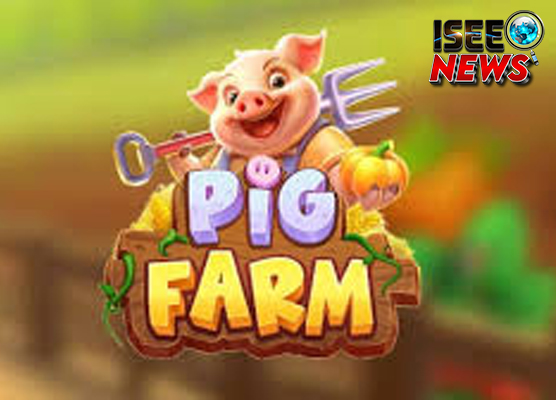 Cnnslot 2025 dan Big Serunya Petualangan di Pig Farm