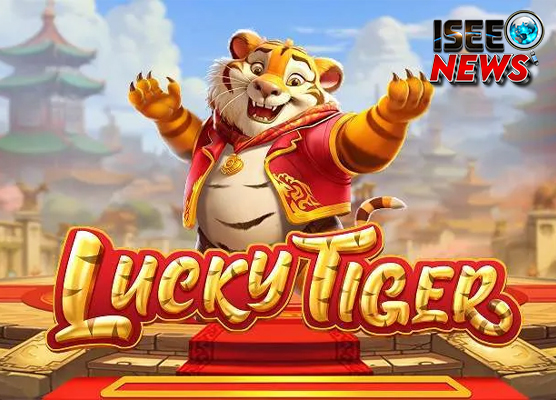 Cnnslot Asli Lucky Tiger Bawa 22.93% Hit Big Rate!