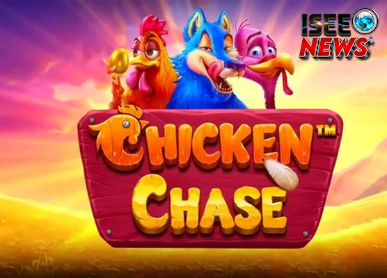Chicken Chase 20 Profit Slot Online di Peternakan