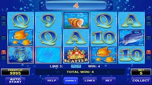 Review Dolphin Op Ketika 3 Gameplay Weird Ulang