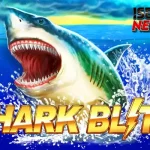 Shark Blitz 11 Kesalahan Dimakan Dead Kalo Lambat!