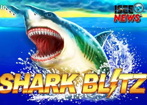 Shark Blitz 11 Kesalahan Dimakan Dead Kalo Lambat!