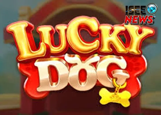 Lucky Dog Mengulik Konsep Game dari 62 Weird