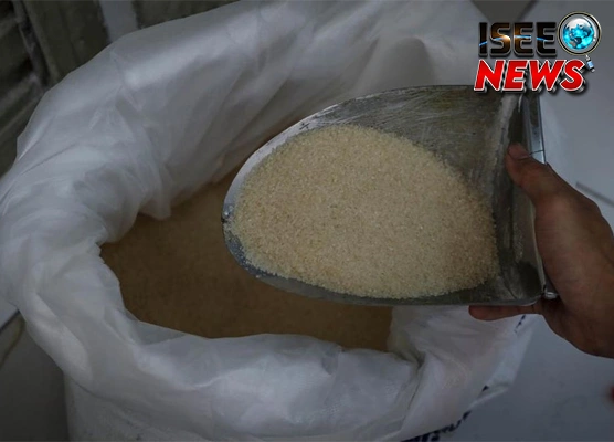 Jamur Lendir Selamatkan 2 Diabetes? Ini Kata Ahli Master