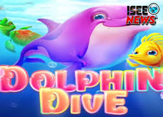 Dolphin dive Exclusive 3 Butter Kacang Lautan