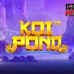 Main Koi Pond Auto Happy 36 Vibes Liburan Ke Jepang