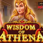 Wisdom of Athena Owl Happy yang Bisa 4 Expand