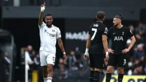 Fulham vs Tottenham: Spurs Kembali Kill Kekalahan  2-1!