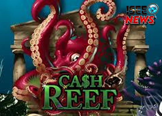 Cash Reef Populer di Indonesia Rilis Loh